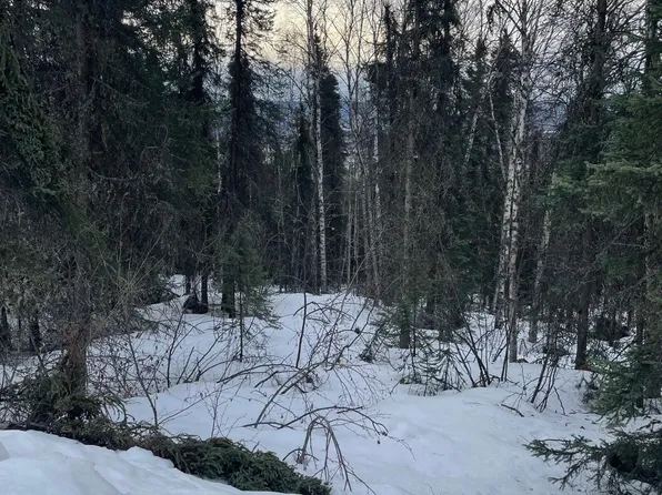 Nhn Himilaya Rd, Fairbanks, AK 99712