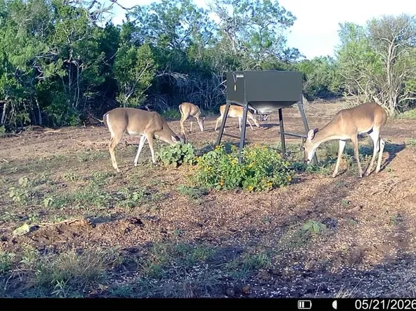 100 County Road 147, George West, TX 78022