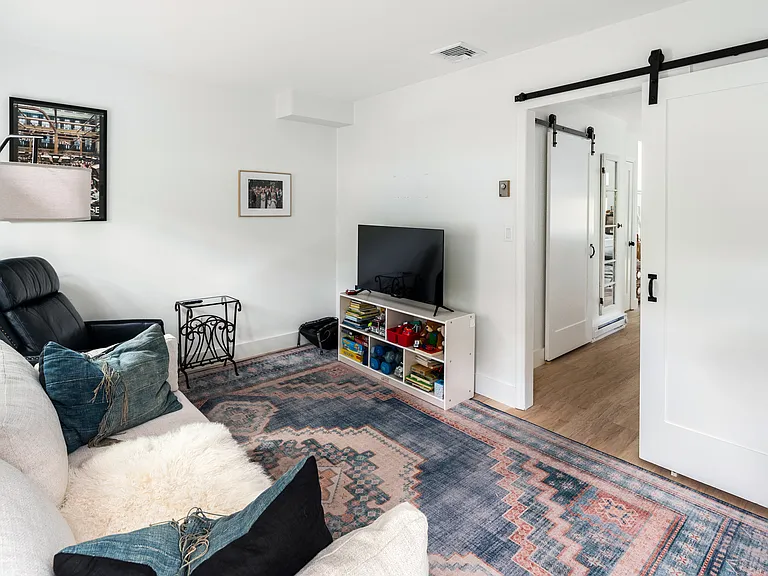 Tv room with a convertible couch.