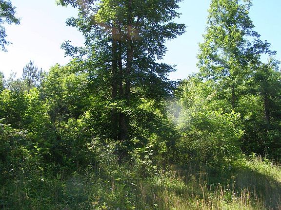 5th image of 545 Stone Cliff Ln