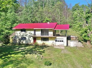 627 Straight Fork Rd, Smithville, WV 26178