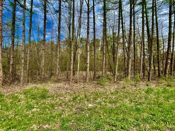 (undisclosed Address), Altmar, NY 13302
