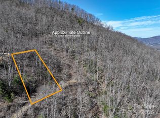 11 Taryn Trce #16, Barnardsville, NC 28709