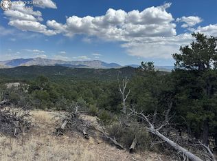 33rd Trl, Cotopaxi, CO 81223