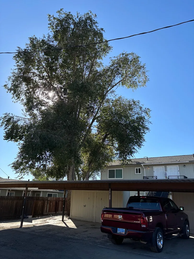 150 Mortensen Lane #1 - 1 — Photo 3