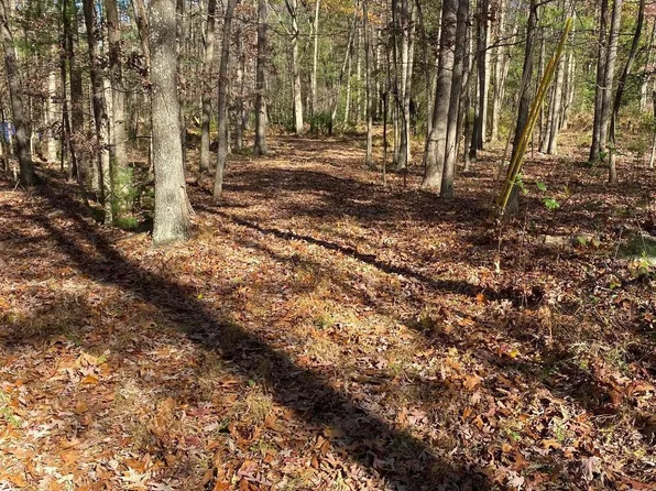 Cub Rd Lot 3, Wardensville, WV 26851