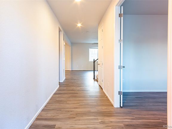 4th image of 4593 Gray Wolf Lane