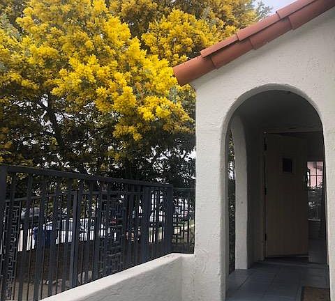 5th image of 1430 S Orange Dr #0
