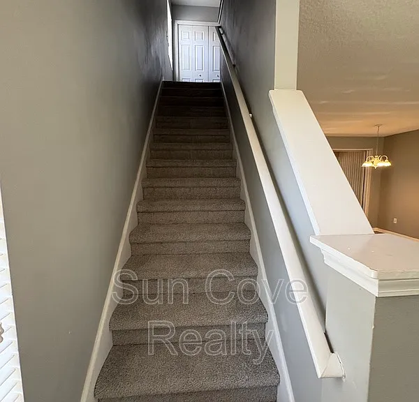 11022 Black Swan Ct — Photo 13