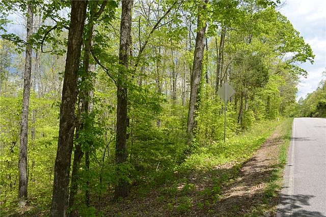 2nd image of 0 Jones Creek Rd #10