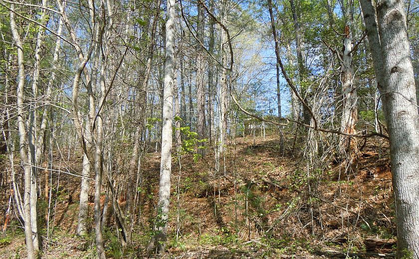2nd image of Wildwood Dr