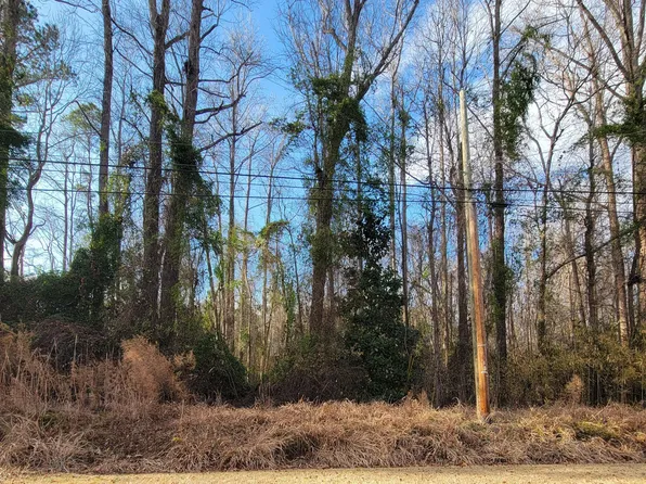 0 Niblick Road LOT 17, Grifton, NC 28530