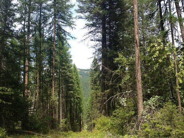 1st image of 2597 Us Highway 93 W