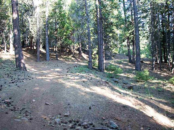 2nd image of 6888 Almanor Lake Estates Dr