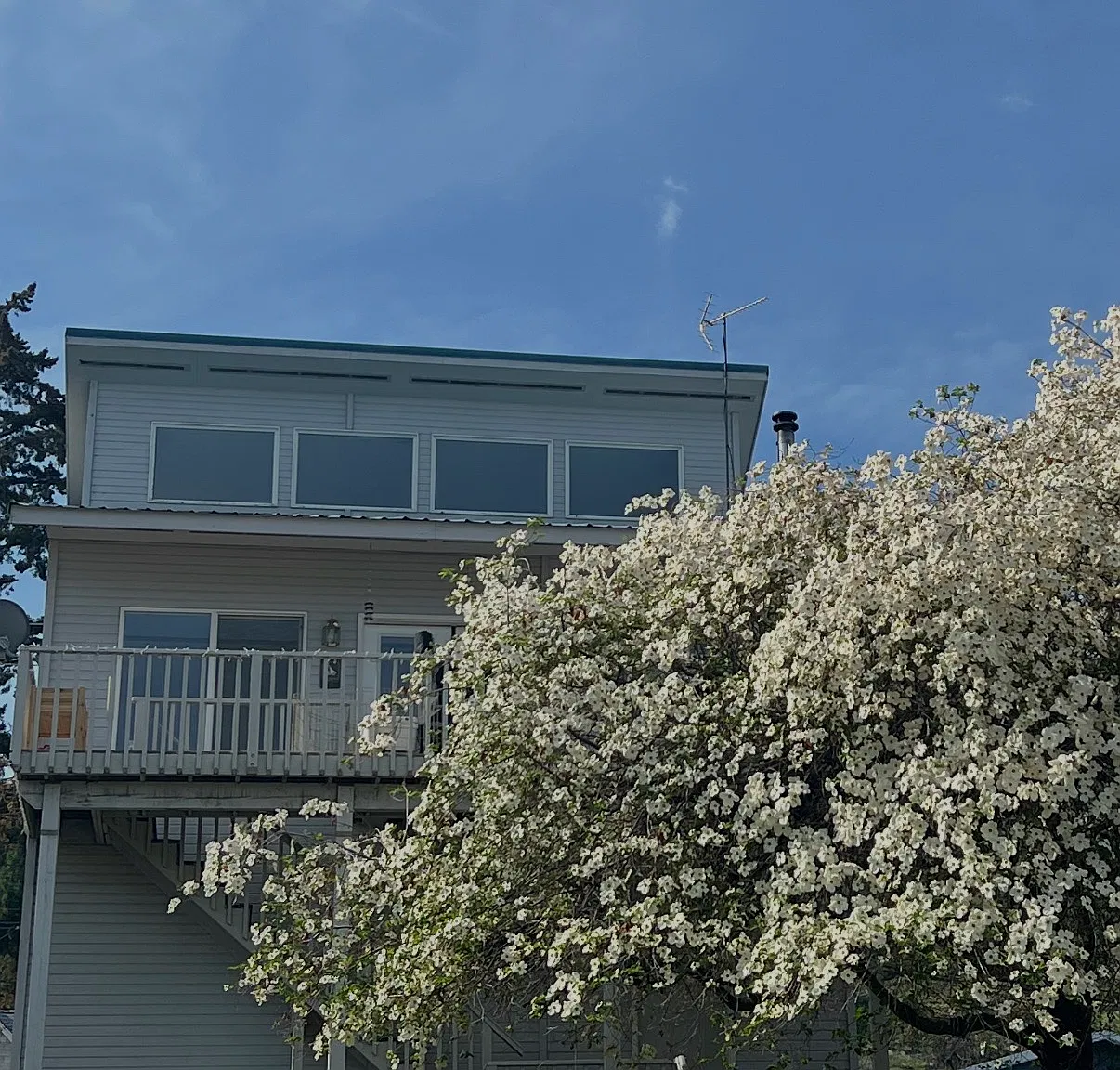 2 bed, 890 sqft, $2,200 — Photo 1