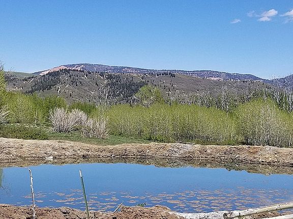 Pond - Cedar Breaks View