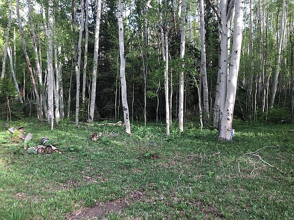 5th image of TRACT 44 Wilson Mesa Ranch Cir Lot 44