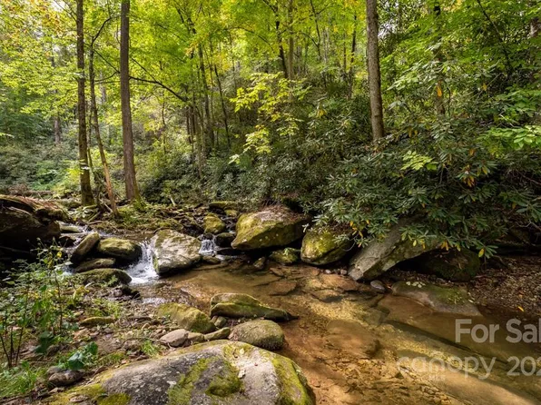 99999 Edney Inn Rd, Hendersonville, NC 28792