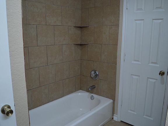 Master Bath Shower Tub
