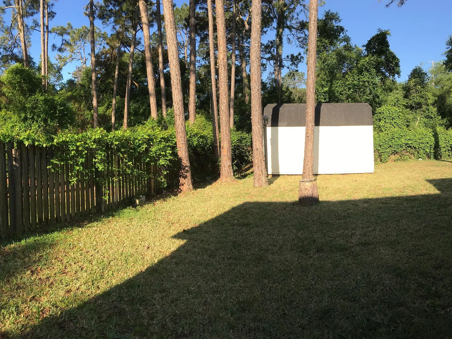 3rd Avenue, Deland — Photo 4