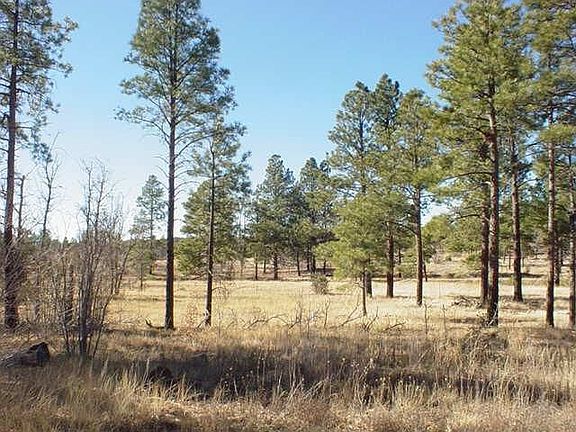 3rd image of 888 Pine Meadow Ln