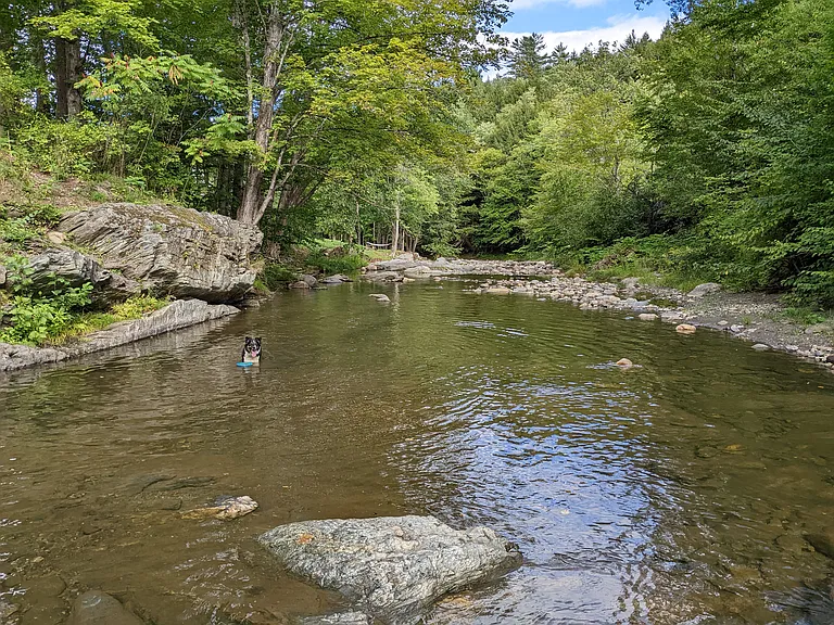 67 Creek Rd #3 — Photo 41