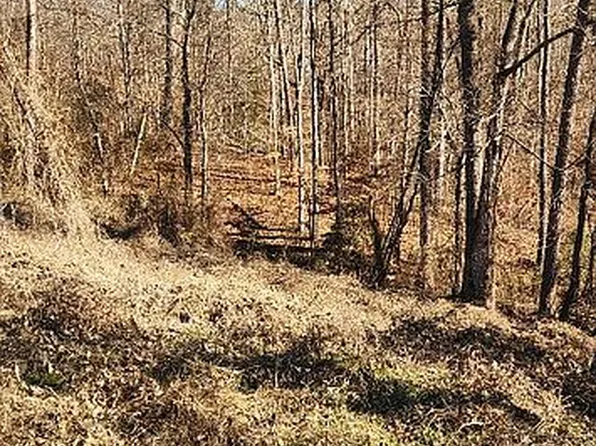 0 Squire Ave, Pickens, SC 29671