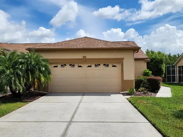 20753 Diamonte Dr, Land O Lakes, FL 34637