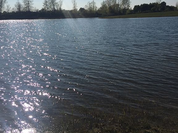 Looking West @ Veiw.