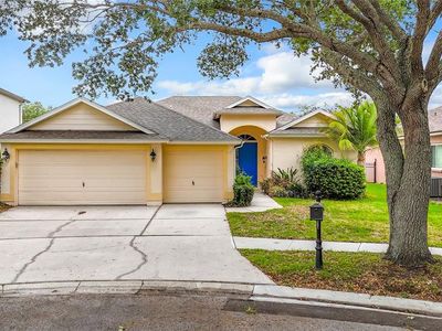 19003 Falcons Pl, Tampa, FL, 33647