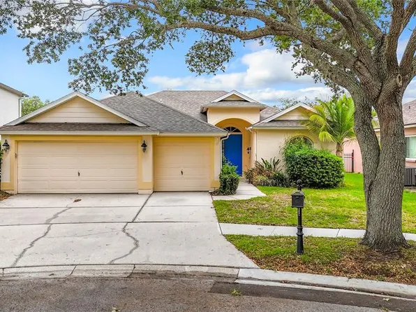 19003 FALCONS PLACE, TAMPA, FL 33647