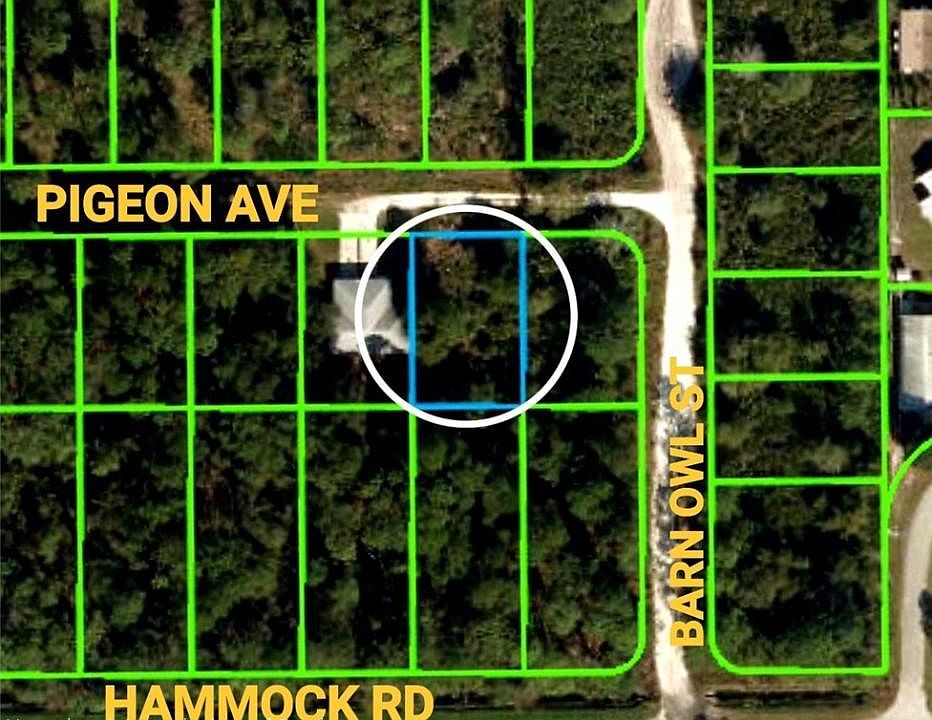 2nd image of 206 Pigeon Ave