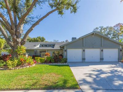 5039 Barrowe Dr, Tampa, FL, 33624