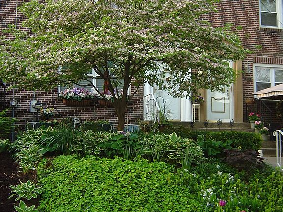 Front Yard in Spring Bloom