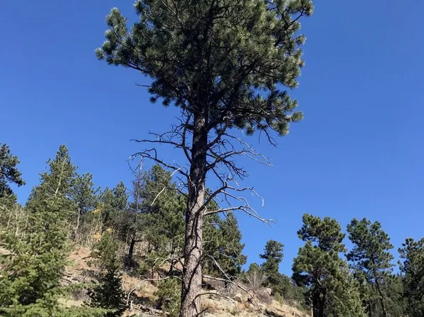 0 Good Friday Rd, Boulder, CO 80302