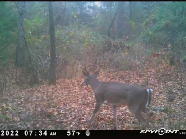County Road 2415, Honey Grove, TX 75446
