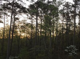 Night Hawk Ct, Monticello, GA 31064