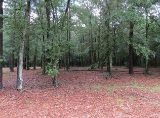 15 Shannan Rd, Opp, AL 36467