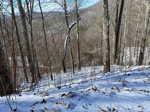 5th image of 0 Hickory Nut Trl