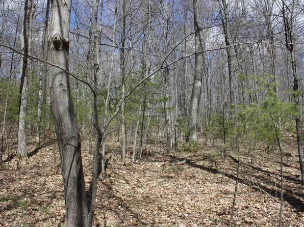 On Katie Circle #14, Minocqua, WI 54548