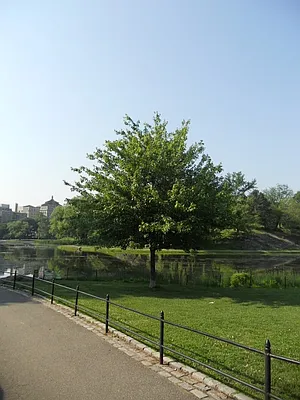 Sold by Willie Kathryn Suggs, LREB | media 10