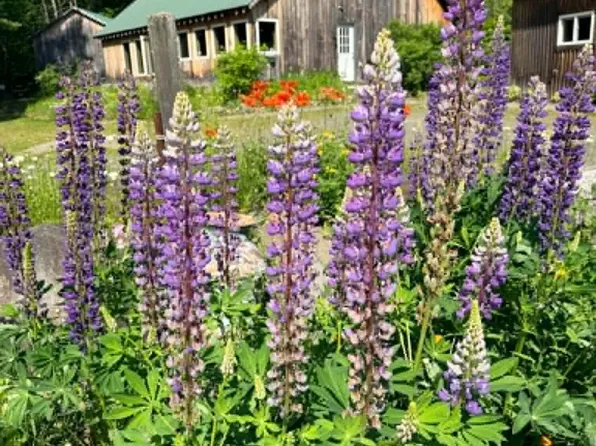 385 Water Street, Guilford, ME 04443