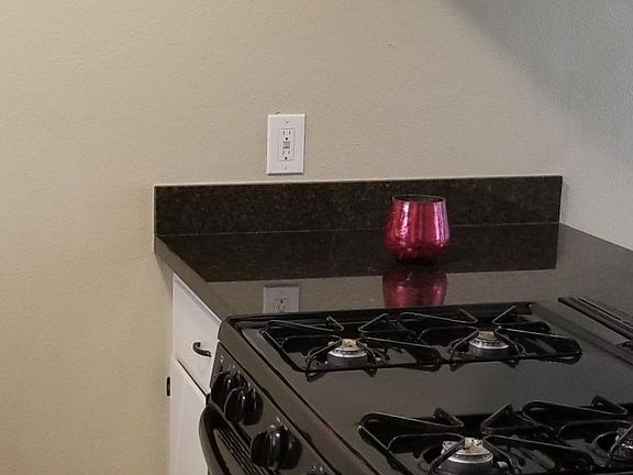 Kitchen oven / gas range.