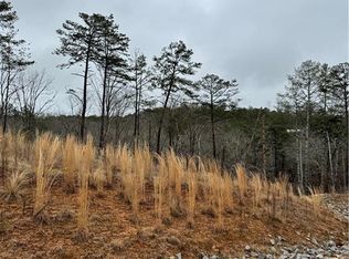 171 Ridge Line Ct #171, Ellijay, GA 30540