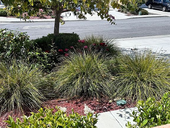 3rd image of 26442 Bramble Wood Cir