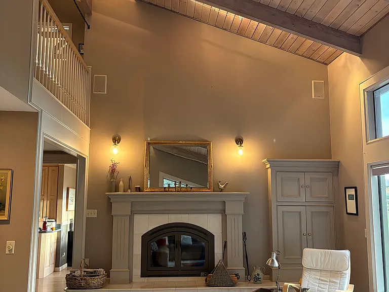 wood burning fireplace in living room