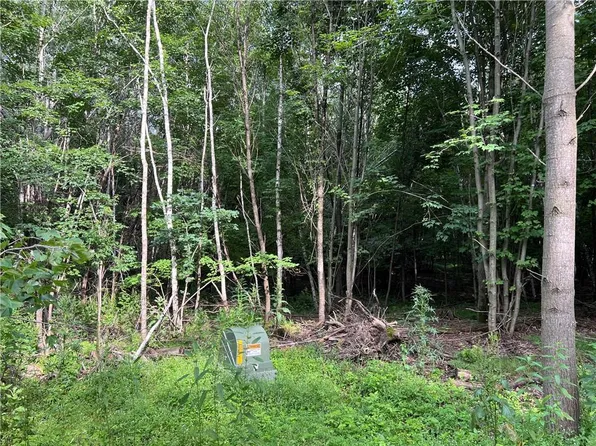 0 954th Street, Colfax, WI 54730