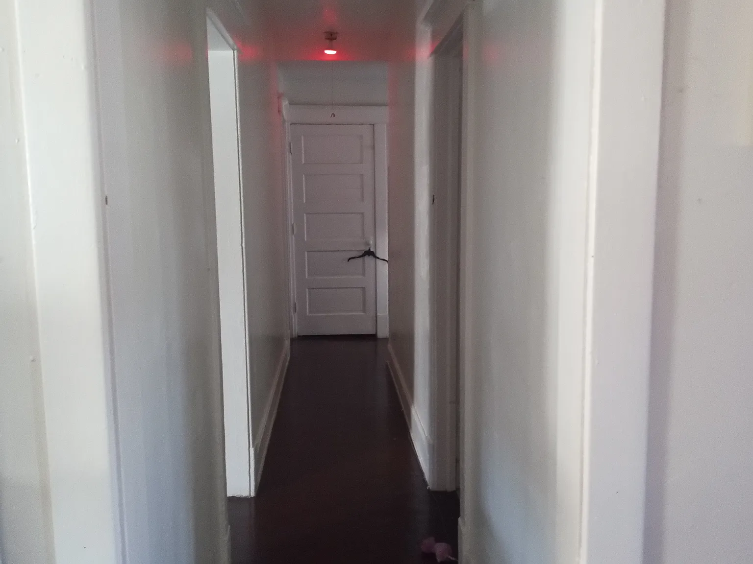 2 bed, 1135 sqft, $1,500 — Photo 1