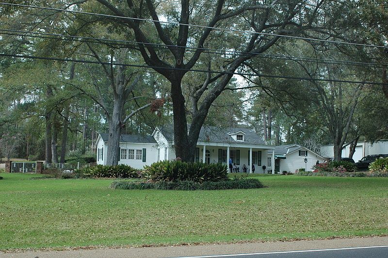 Corner Lot : Large Tree Shaded Lot