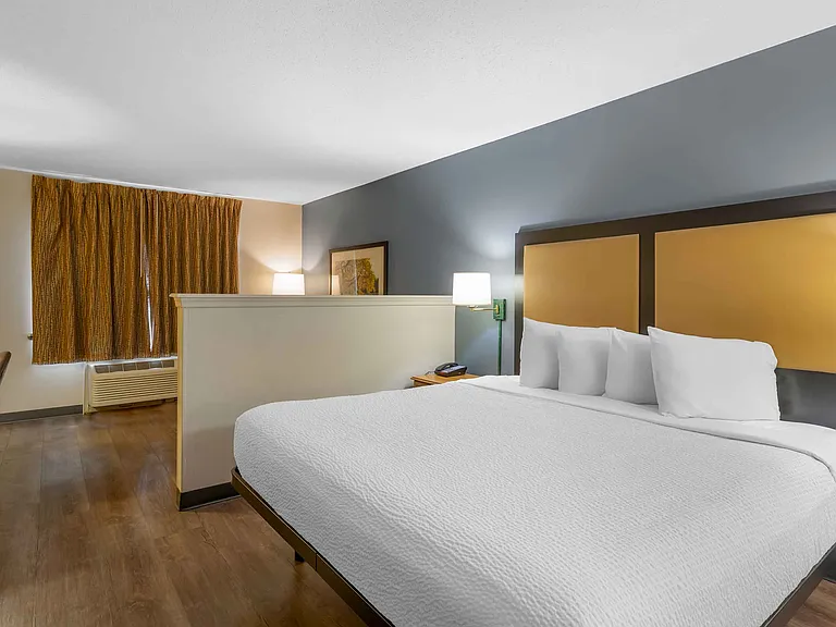 Deluxe Studio - 1 King Bed